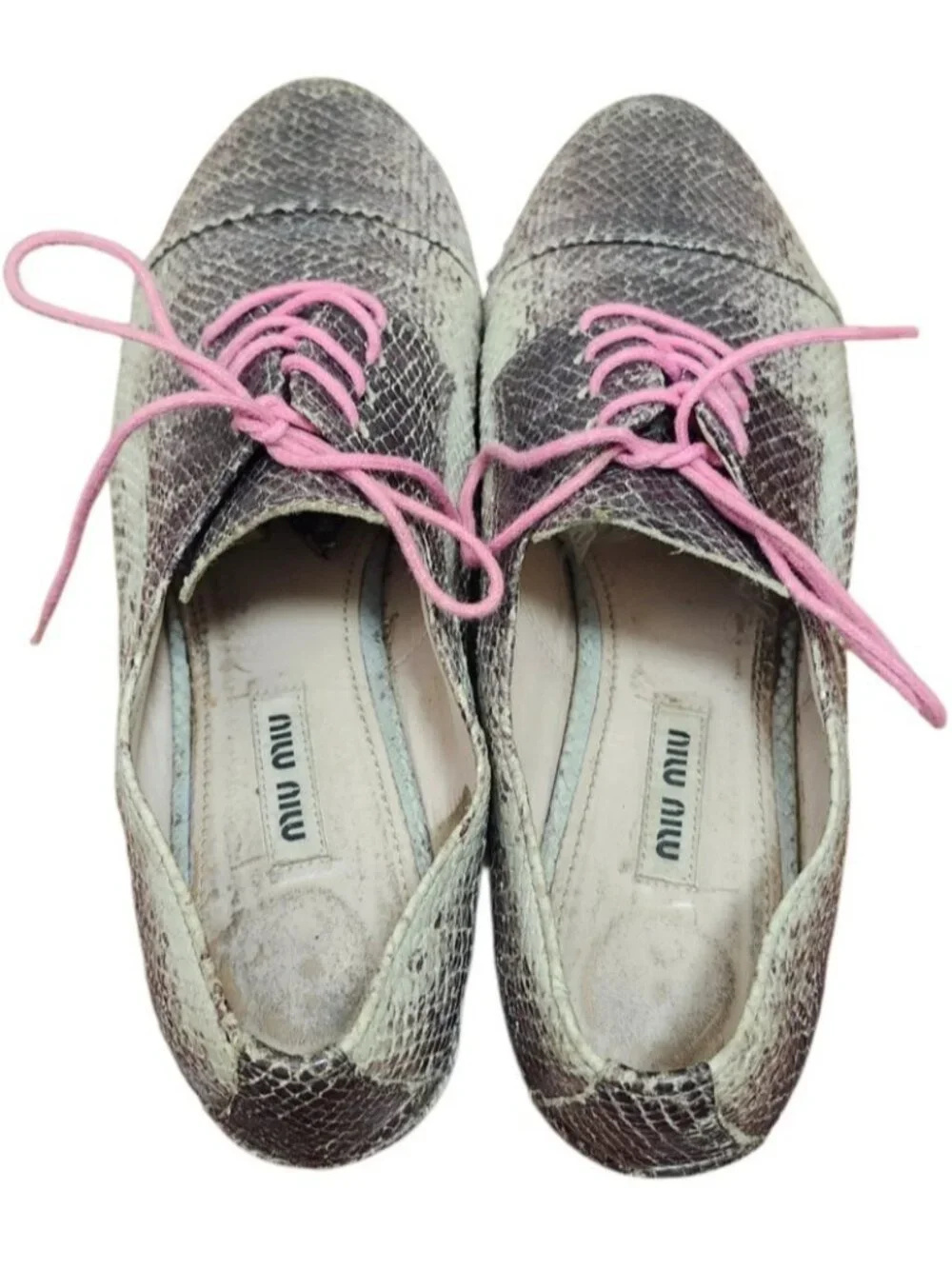Miu Miu miu reptile